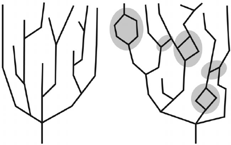 469x296 Hierarchic Evolution