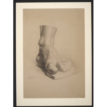 355x355 study of a plaster cast of the foot of the farnese hercules