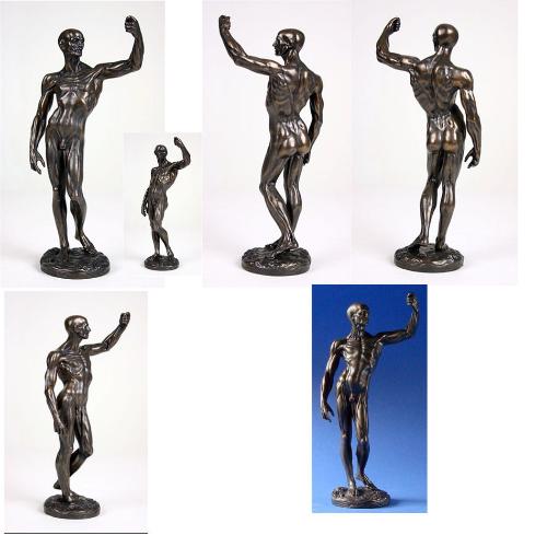 500x500 Anatomy Of Man