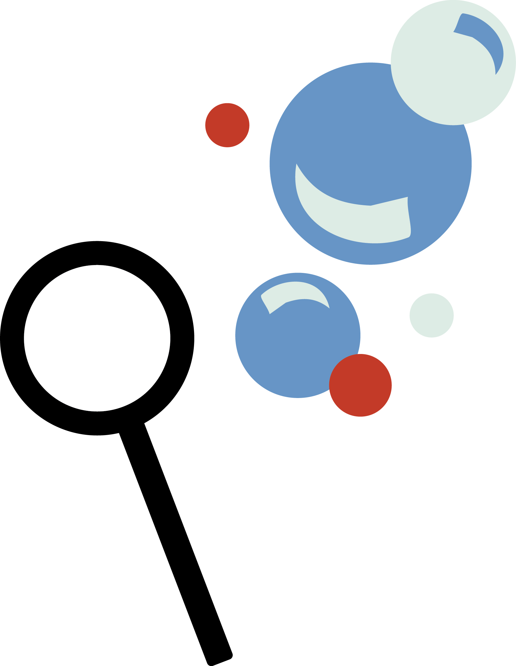 1771x2284 Saint Louis Art Fair