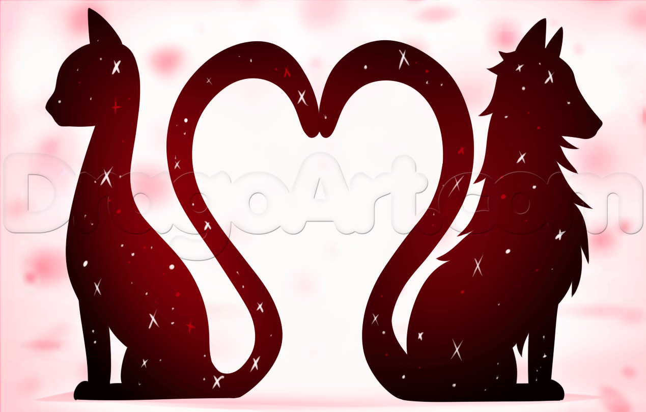 1269x809 How To Draw Cat And Dog Love, Step