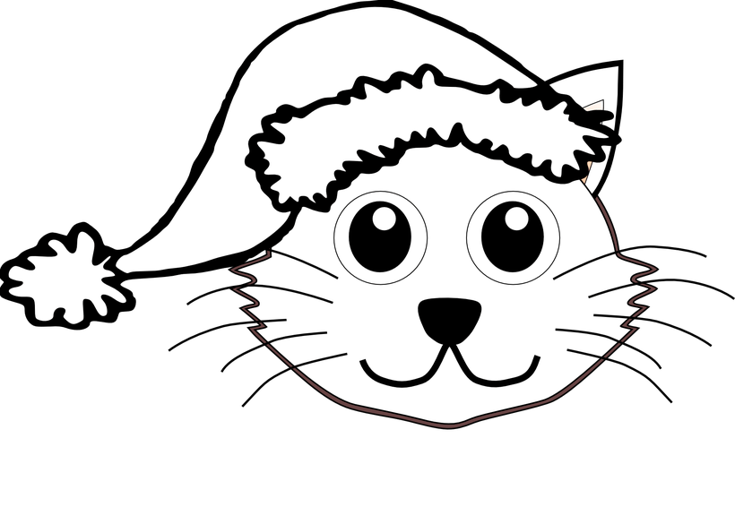 Cat Black And White Drawing