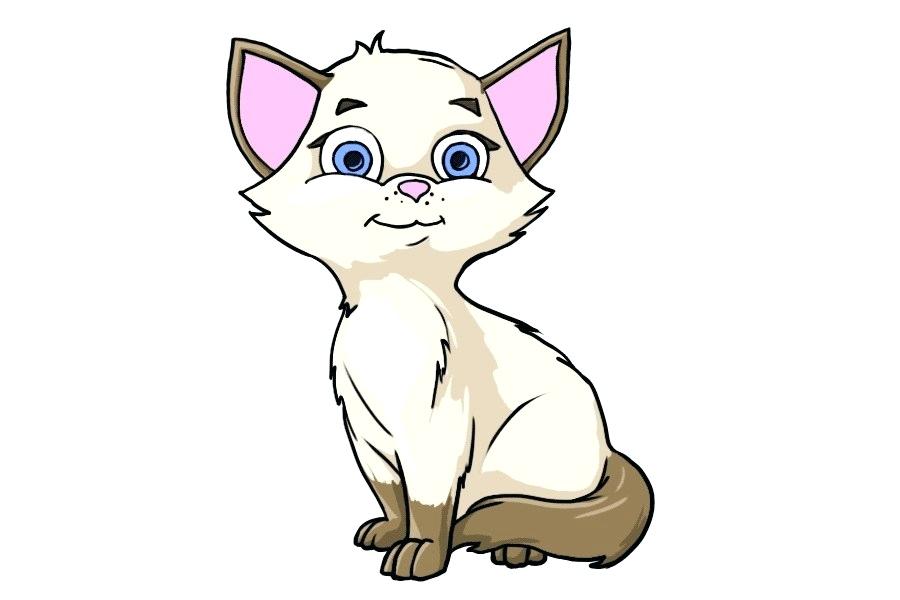 900x600 Cat Cartoon Drawing Running