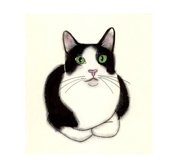 350x331 Images Black And White Clipart Cat Eyes