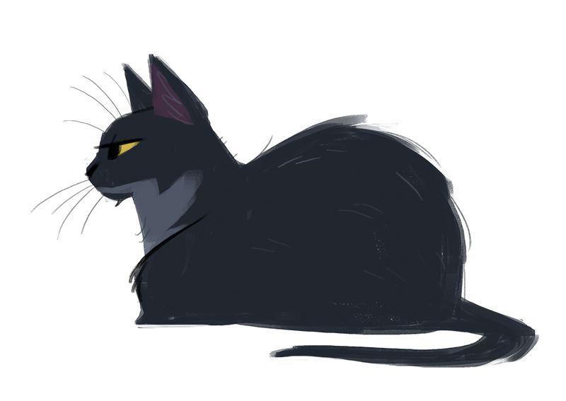 800x567 Daily Cat Drawings Photo Design And Illustration Lust