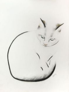 Cat Charcoal Drawing