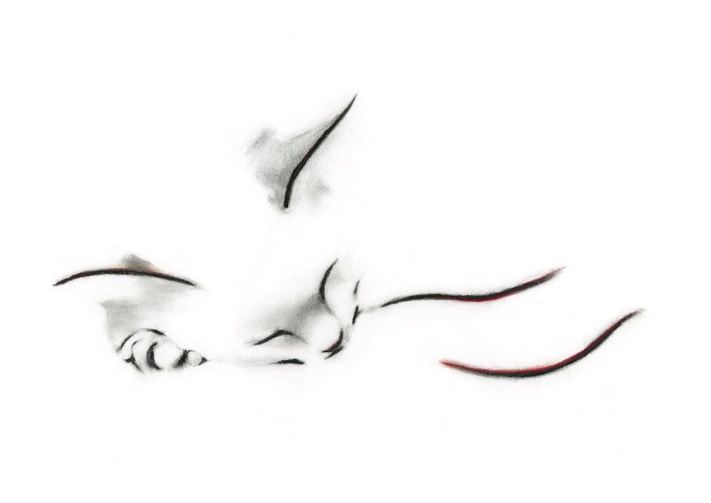 1000x707 Drawing Of A Sleeping Cat On Fine Art Paper Tattoo