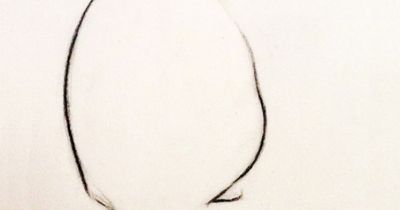 400x210 saatchi online artist kellas campbell charcoal drawin