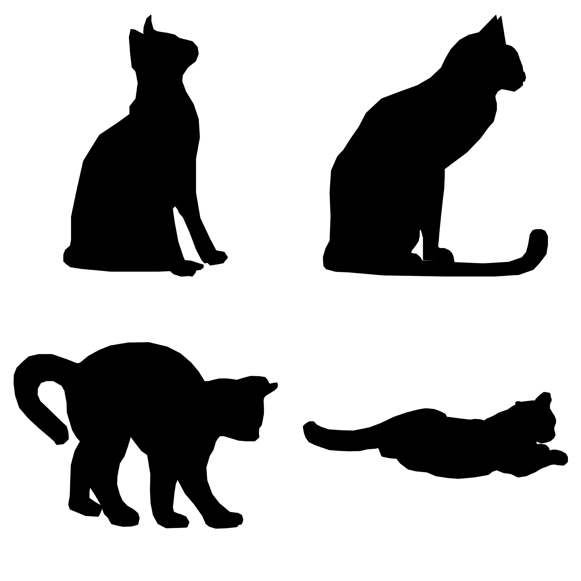 1920x1920 Cat, Icon, Pet, Tail, Graphic