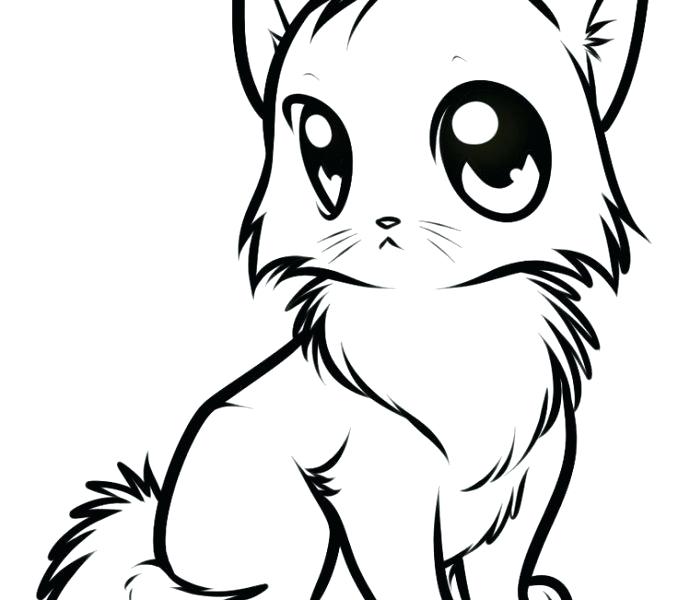 Cat Cute Drawing | Free download on ClipArtMag