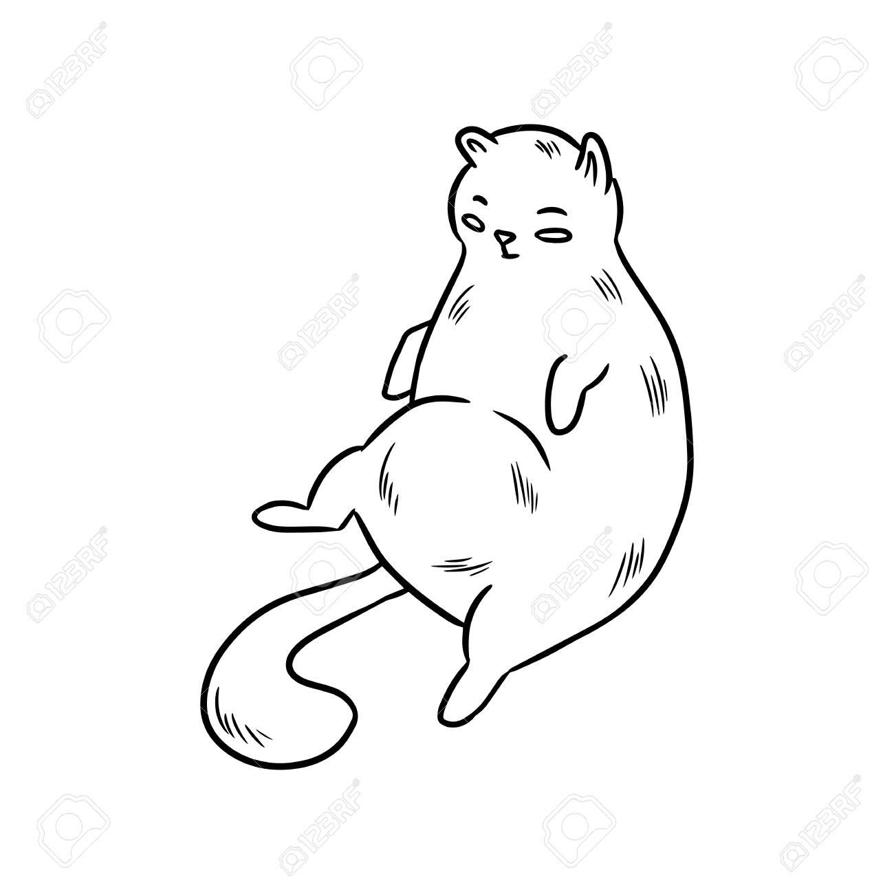 1300x1300 Huge Collection Of 'cute Fat Cat Drawing' Download More Than