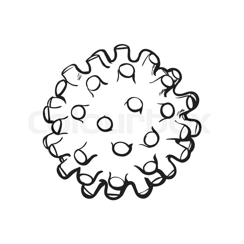 800x800 Pet, Cat, Dog Rubber Spiked Toy Ball, Stock Vector Colourbox