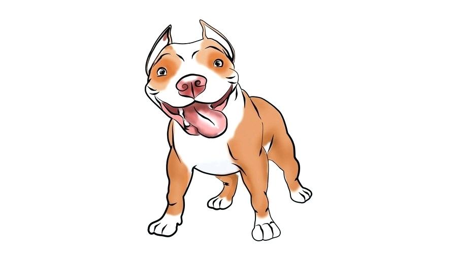 900x500 Bull Dog Drawing French Bulldog Face Drawing