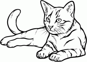 302x216 How To Draw A Cat Steps