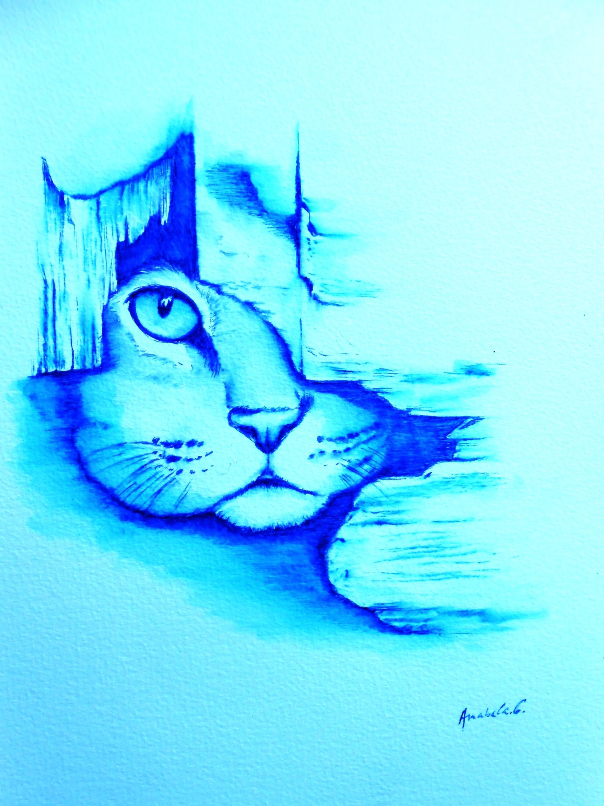 1920x2560 Blue Cat Drawing