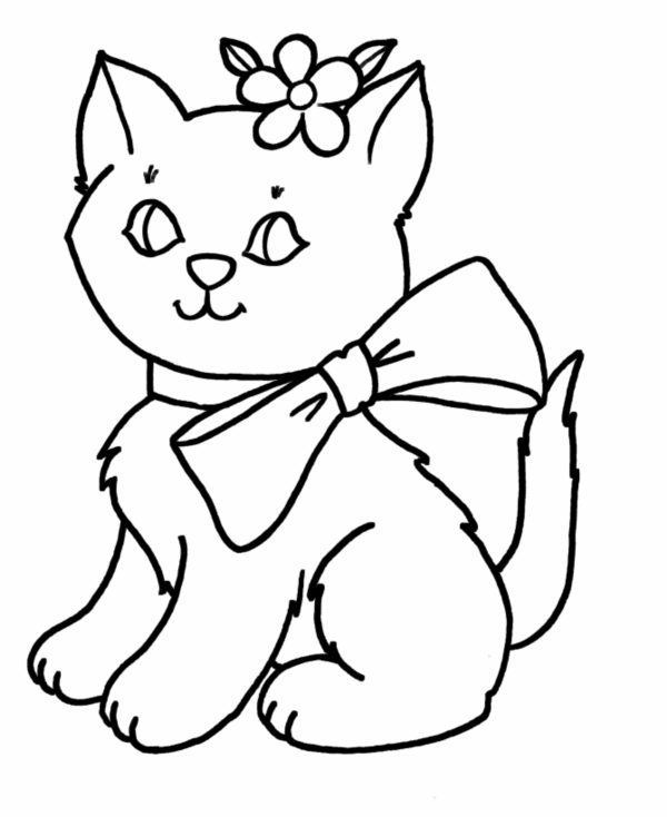 Cat Drawing Easy