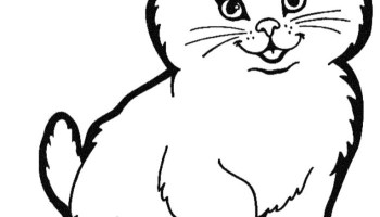 350x200 Animal Drawings Easy Cat