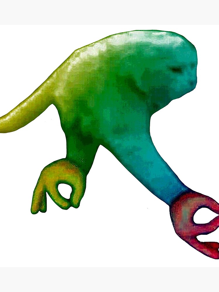 750x1000 Circle Game Cat Photographic Print