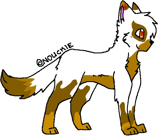 544x469 Cat Oc Drawing Jerusalem House