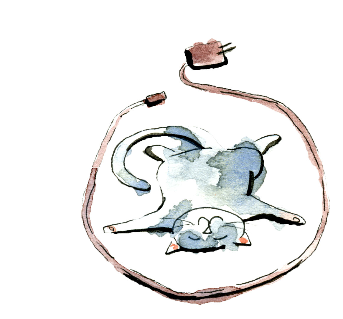 1164x1081 Gift Ideas For Your Cat