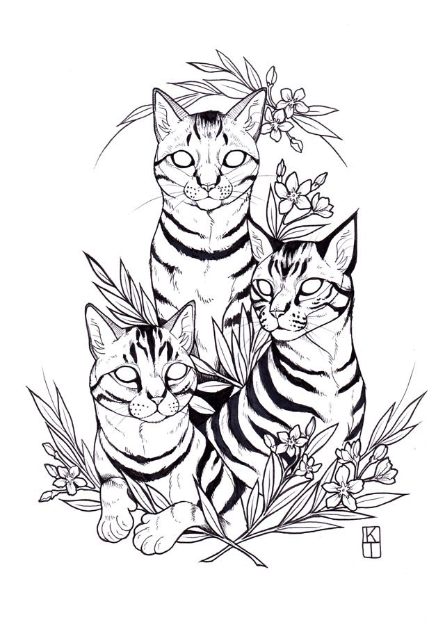 640x905 Cat Drawing In Animal Drawings, Tattoos, Art