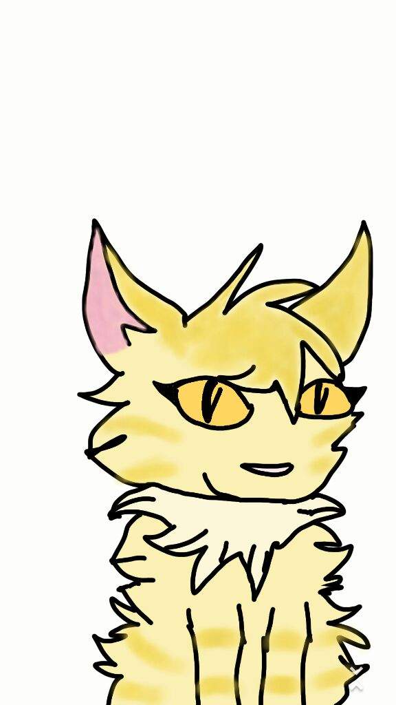 576x1024 Warrior Cat Drawing! Warriors Amino