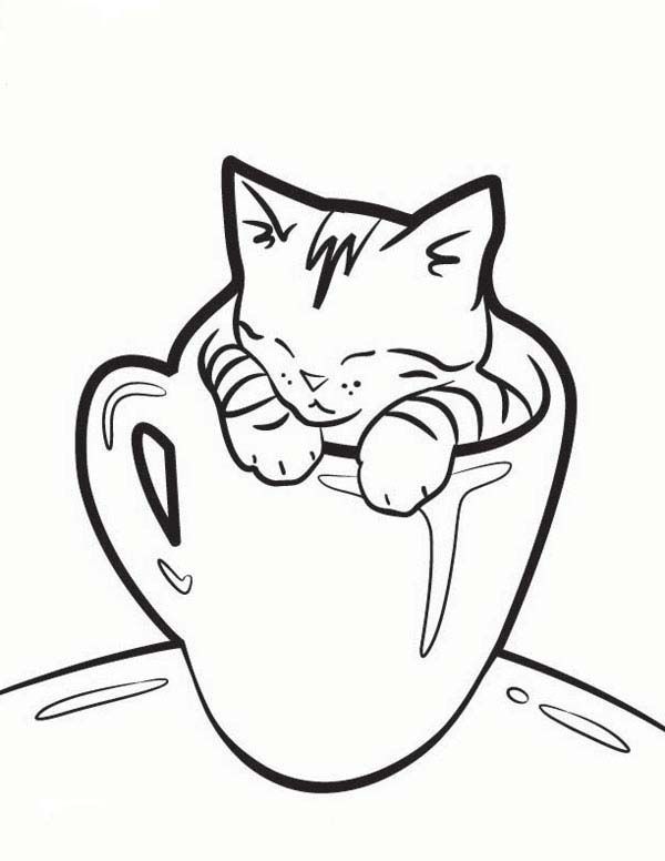 600x776 Kitten In Cup Colouring Pages Miau Cats Coloring Simple
