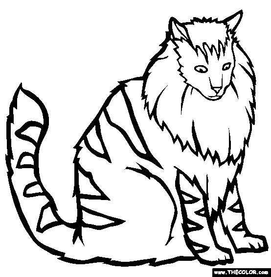 554x565 Cats Online Coloring Pages