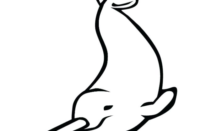 640x420 Coloring Pages For Boys Halloween Cat Narwhal