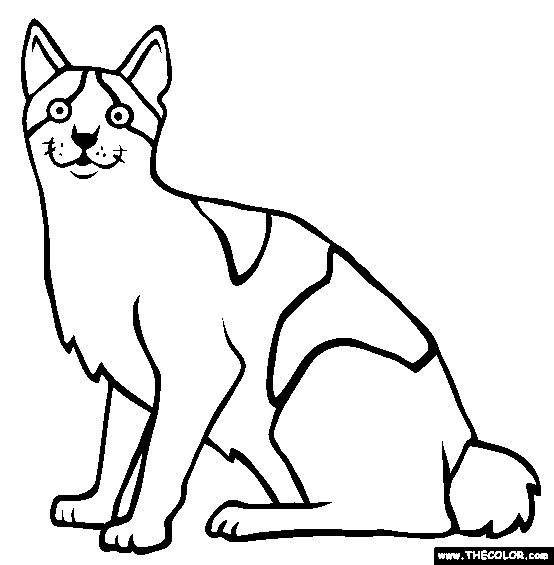 554x565 Japanese Bobtail Cat Online Coloring Page
