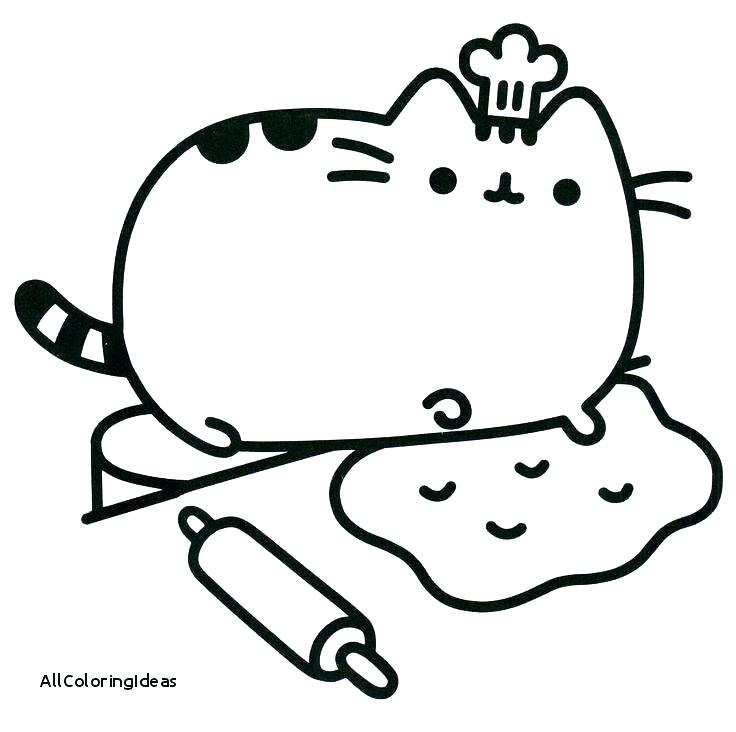 736x732 Nyan Cat Coloring Pages