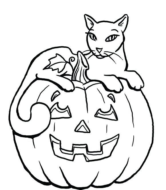 580x664 Online Coloring Pages For Adults Cats And Cucumbers Scared Quotes