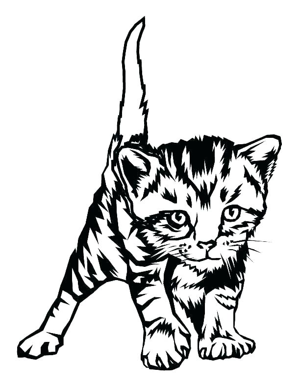 612x793 Free Coloring Pages Cats Free Coloring Pages Cats Kittens Free
