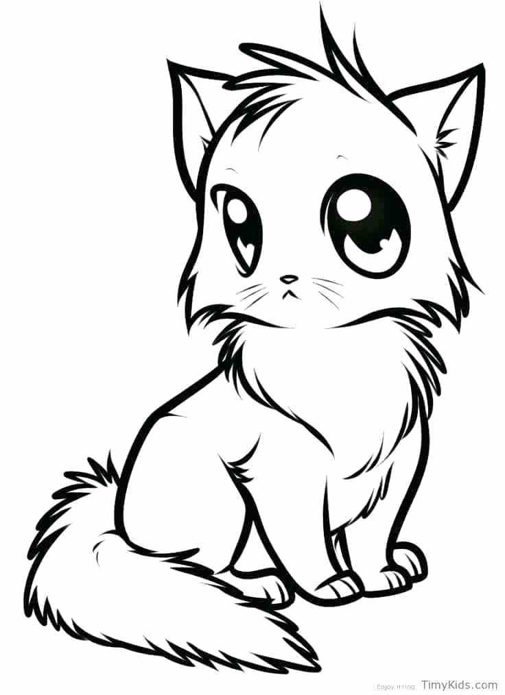 736x1014 Cat Coloring Pages Anime Cat Coloring