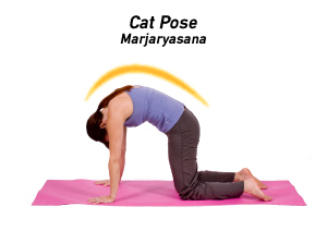 300x212 How To Do Cat Cow Pose In Yoga