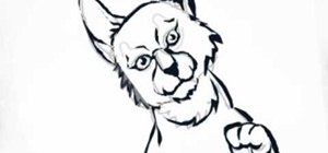 300x140 How To Draw Your Own Warrior Cats Drawing Illustration