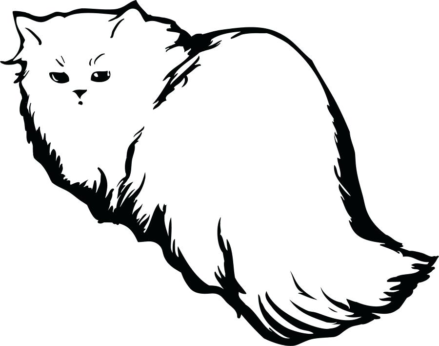 900x708 Cat Outlines Images Stock Photos Vectors Set Of Silhouettes Black