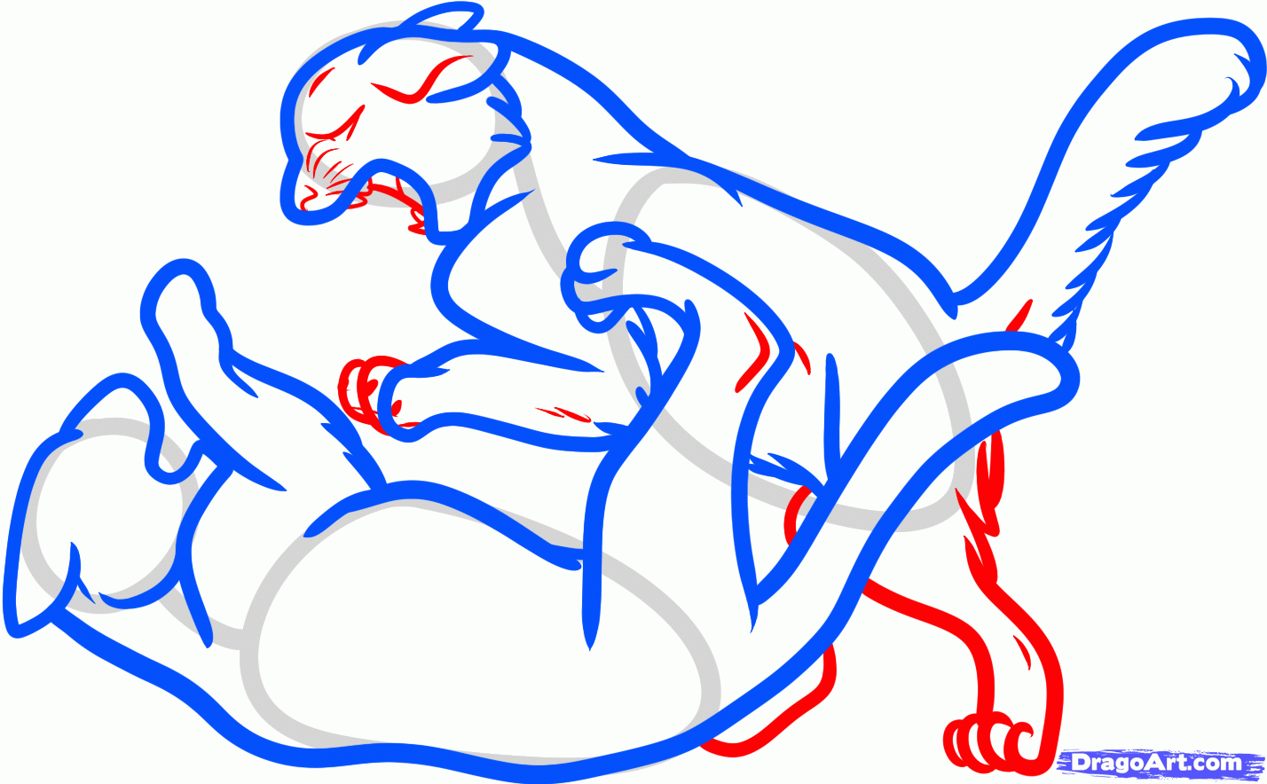 1428x884 How To Draw Fighting Cats, Cat Fight, Step
