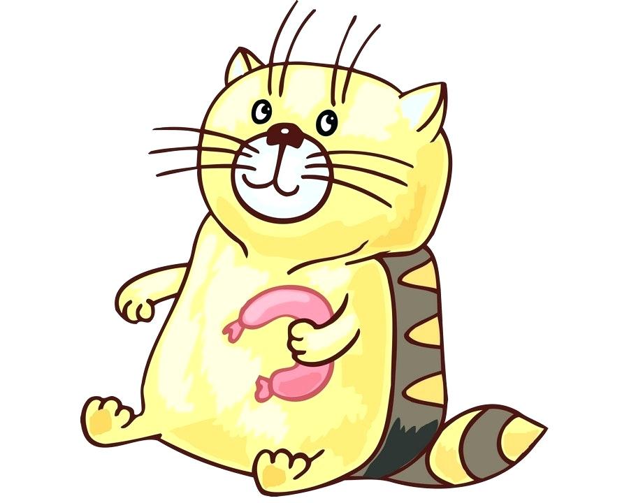 900x720 How To Draw A Wildcat Step