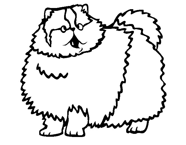 650x507 Cat Shape Template