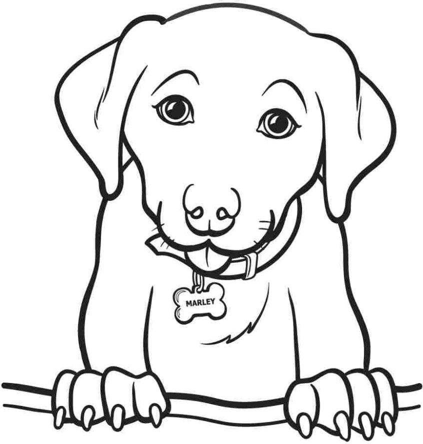 846x888 Coloring Pages Ideas Free Cat And Dog Coloring Pages Clip Artle