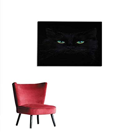 425x425 Homehot Photographic Wallpaper Drawing Of A Black Cat