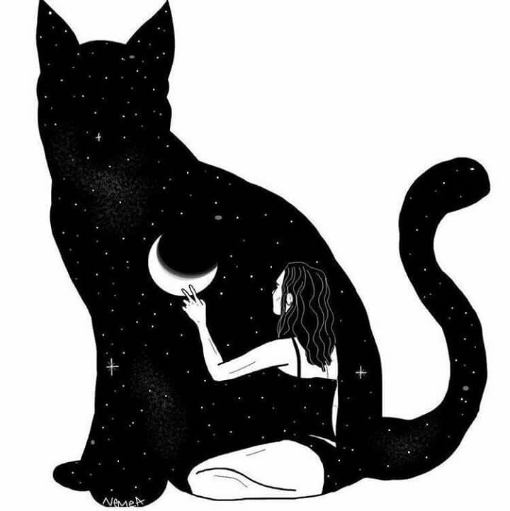 720x721 Jax O'lantern In Cat Art