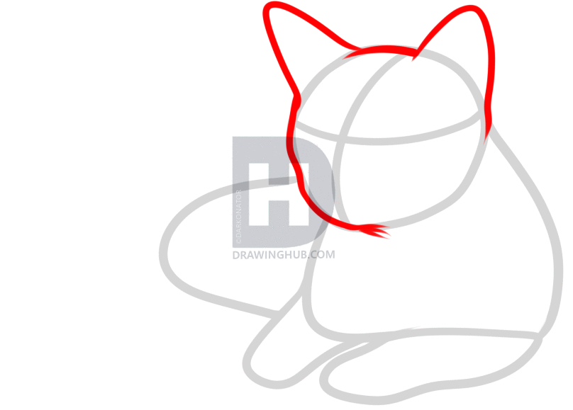 808x579 How To Draw A Cat, Step