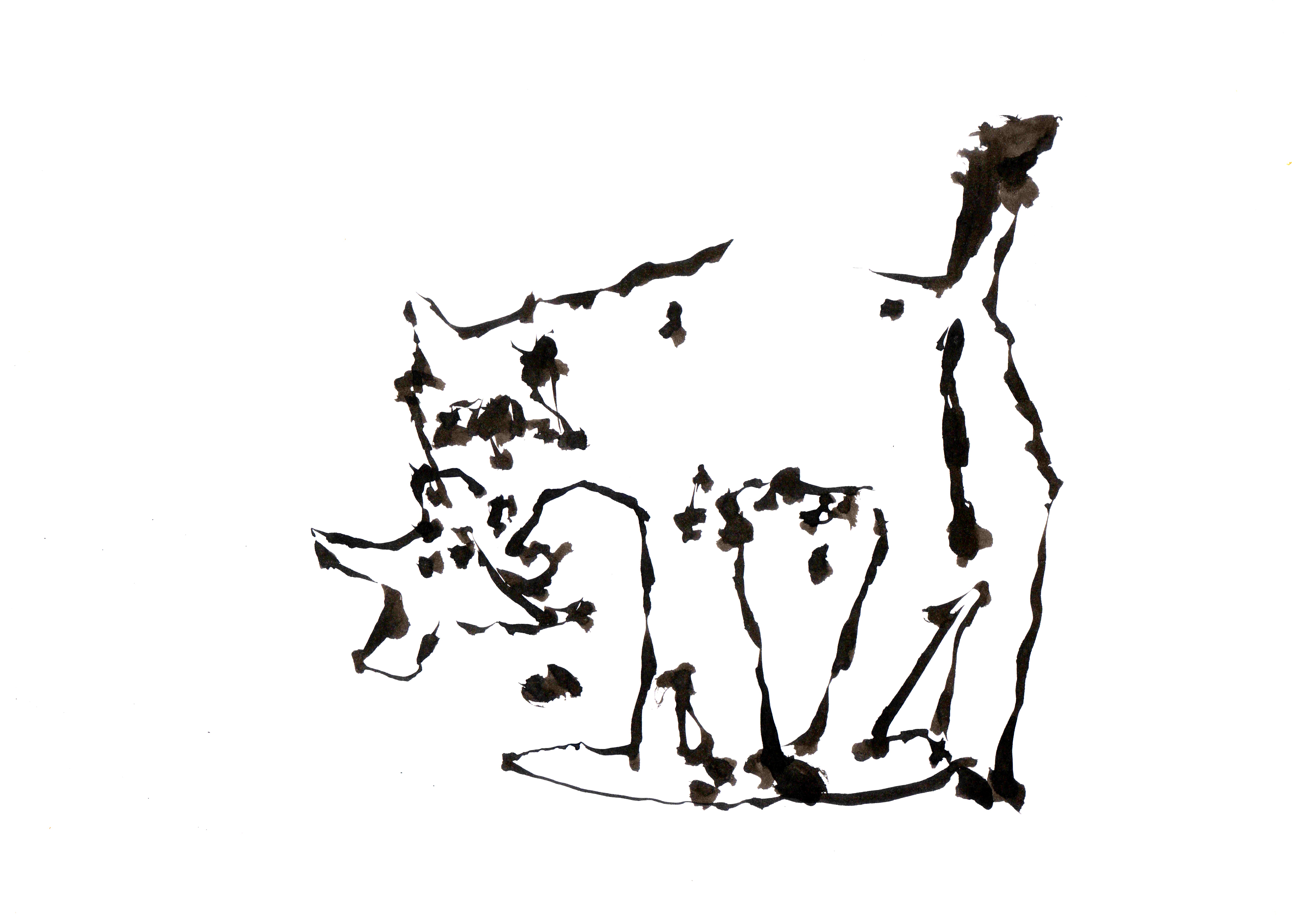 7002x5008 Cat Eating Bird Robotart