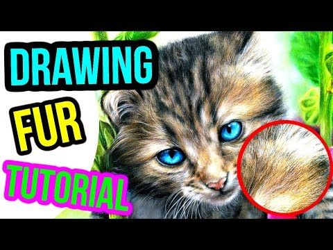 Cat Eyes Drawing