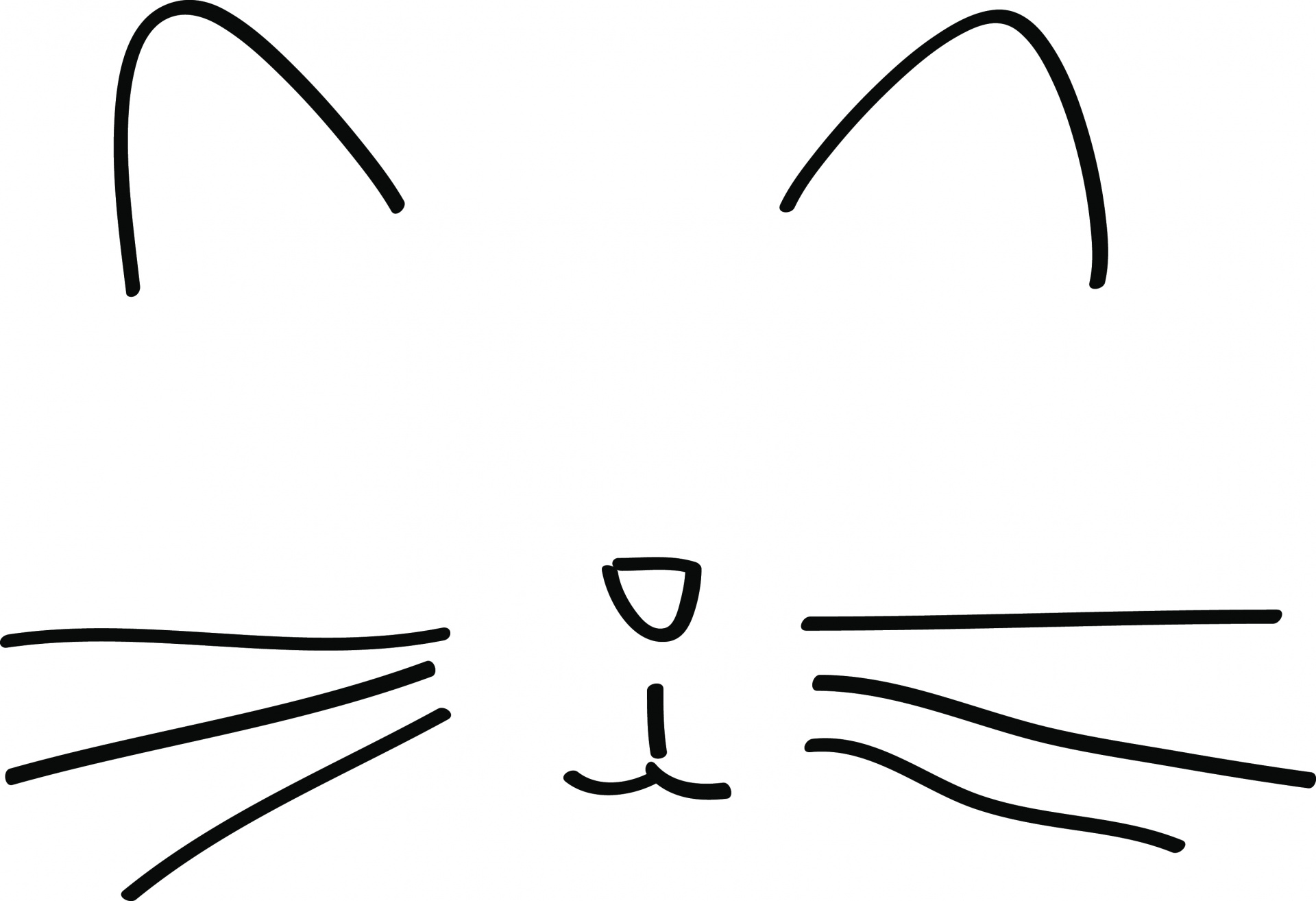 Рисование у кошки усы