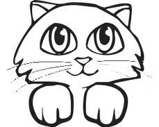 229x183 Big Eye Cat Lily's Cats Cat Face Drawing, Art, Cats