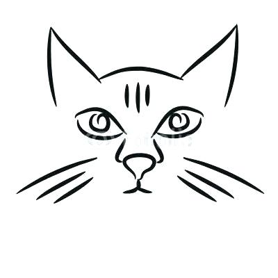 400x400 draw a cat face how to draw cat faces heads view draw cat face