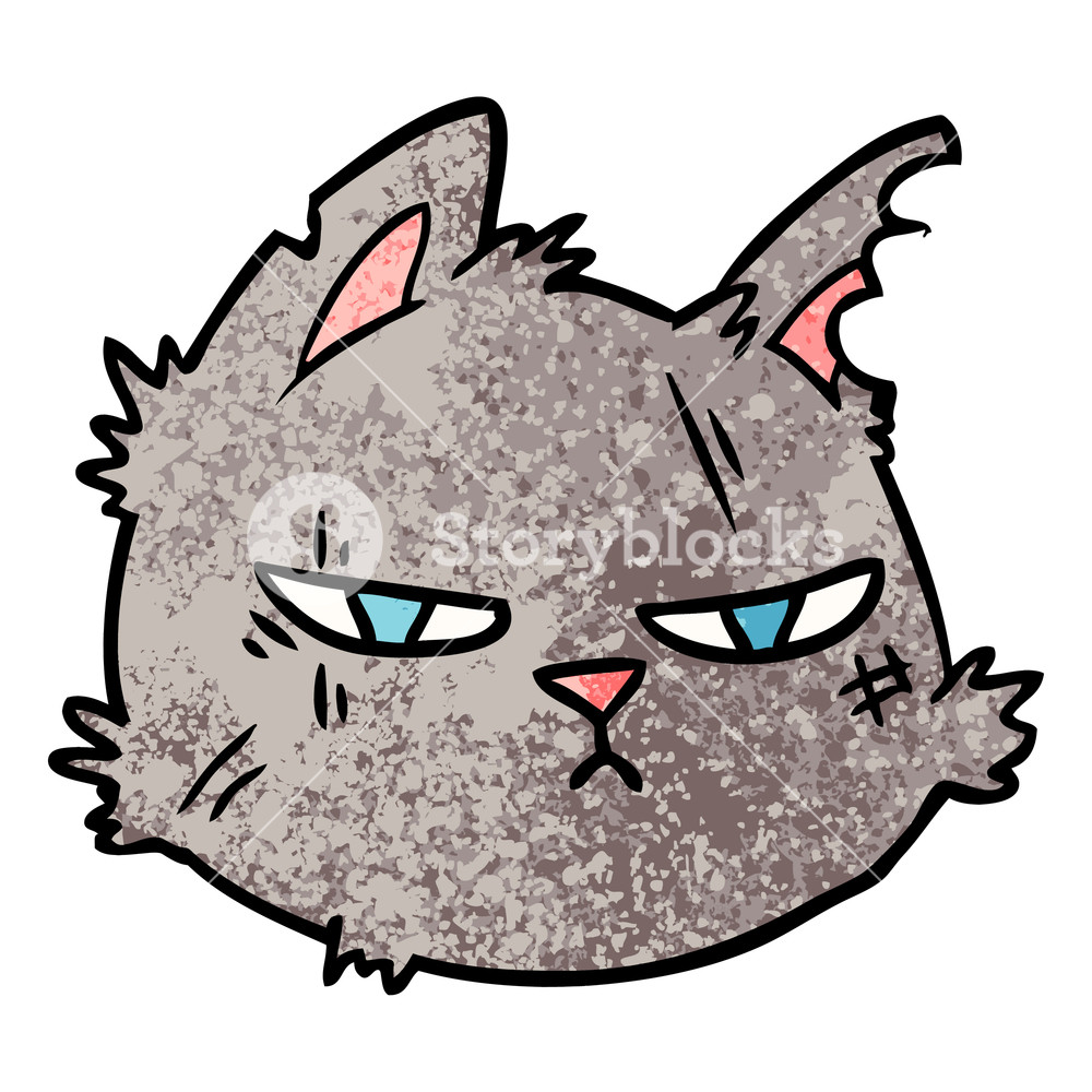 1000x1000 Cartoon Tough Cat Face Royalty Free Stock Image